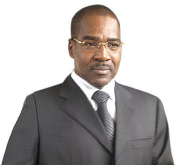 M. Michel Ngapanoun