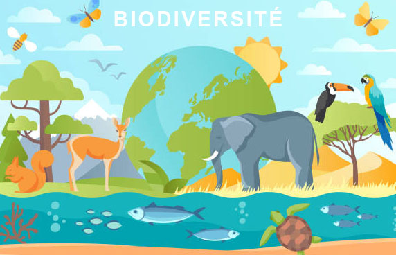 Préserver la biodiversité